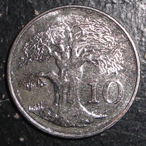 2001 Zimbabwe 10 cents Baobab tree coin  