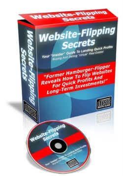 Former Hamburger Cook Reveals How To Flip Websites For Quick Profits 