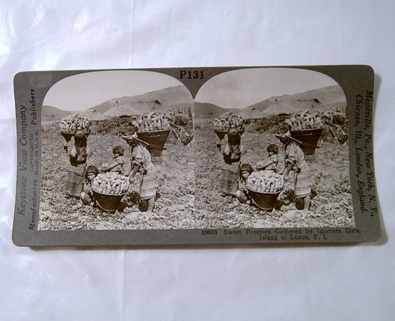 Stereoview CHILDREN FARMING IN LUZON PHILIPPINE ISLANDS  