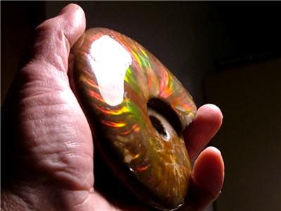 GEM AMMOLITE 4.6 FOSSIL POLISHED AMMONITE 117mm  