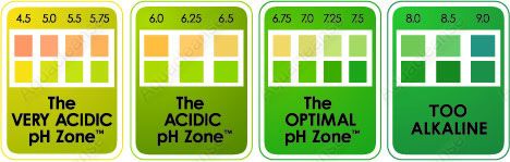   body out of a dangerously acidic state, and into the OPTIMAL pH Zone