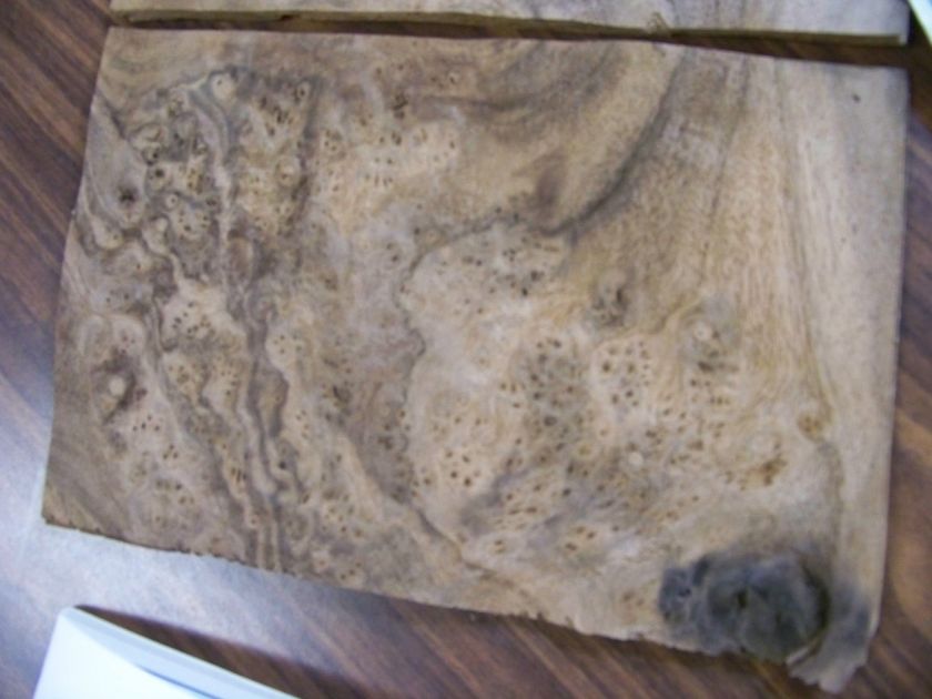 1909 Ugly Walnut burl veneer 7 sqft  