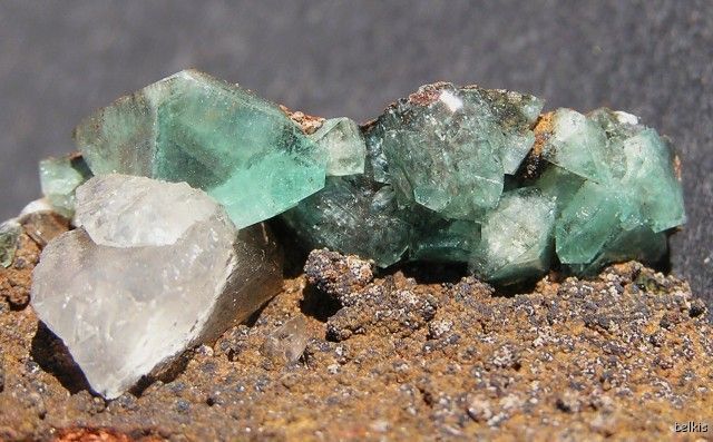 CUPRIAN ADAMITE   OJUELA MINE, MEXICO 12940  