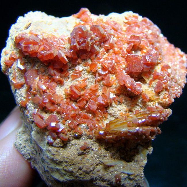 Red Vanadinite Crystal Cluster & Barite vamo9ixh091  