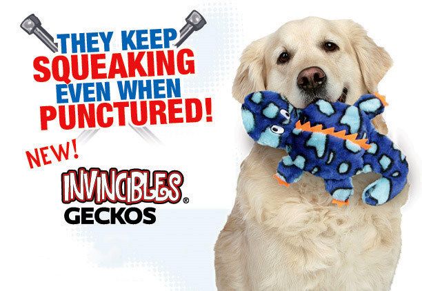 KYJEN Invincibles Stuffing Free 2 or 4 Squeaker Dog Toy  