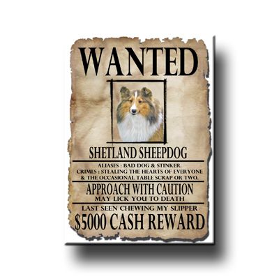 SHETLAND SHEEPDOG Wanted Poster MAGNET No 1 Sheltie  