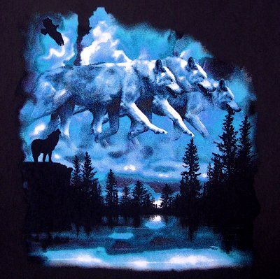 HOWLING WOLF GHOST WOLVES IN SKY SWEATSHIRT T SHIRT W51  