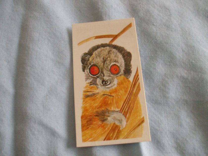   TEA CARDSVANISHING WILDLIFE 1978BUY INDIVIDUALLY NOs 21 40  