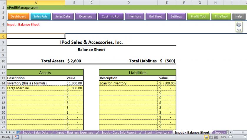 eProfitManager   Input   Balance Sheet