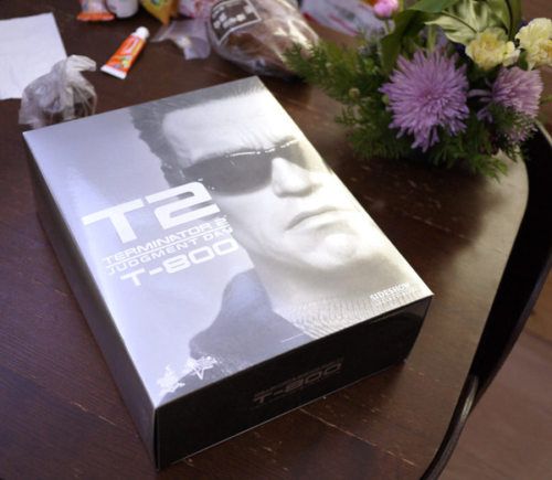 Hot Toys hottoys Terminator II T 800 1/6 figure  