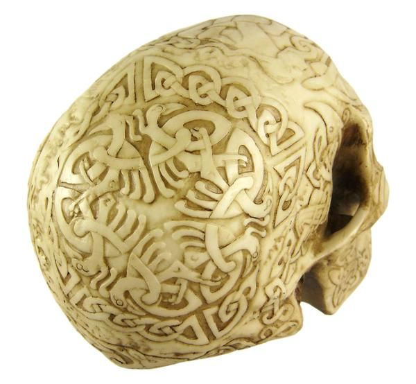 Celtic Knotwork Human Skull Statue Figure Bone Finish  