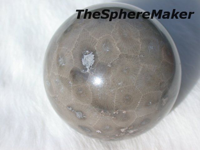   SPHERE FOSSIL CORAL BALL DECORATIVE GR8 GIFT 1.96D MICHIGAN  