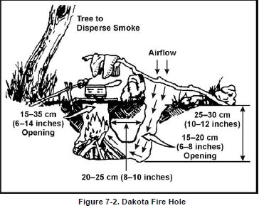 and joint injury bites and stings wounds environmental injuries herbal 