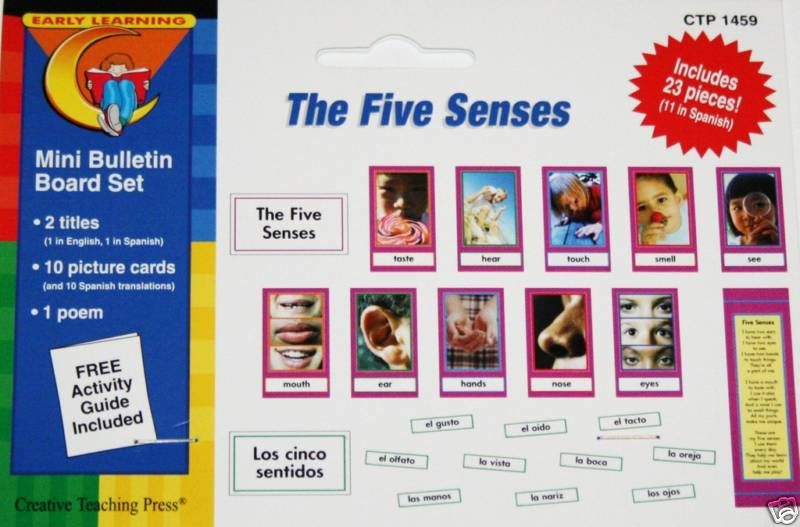 FIVE SENSES MINI BULLETIN BOARD SET ENGLISH SPANISH CTP  