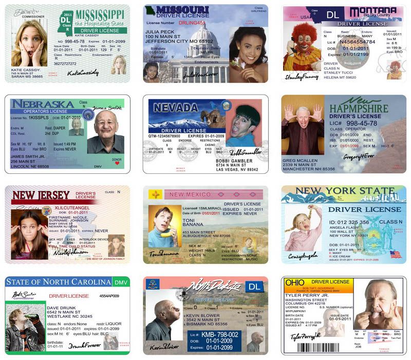 DRIVER LICENSE TEMPLATES FUN CARDS INVITATIONS PSD  