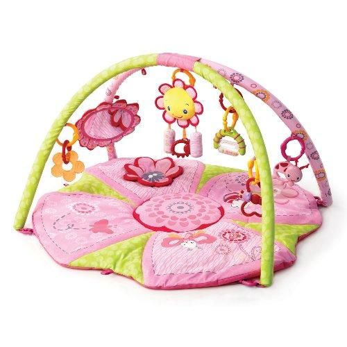 NEW BRIGHT STARTS PINK PRETTY IN PINK SUPREME PLAY GYM  