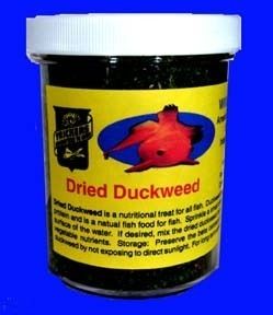 Dried Duckweed Fish Food  