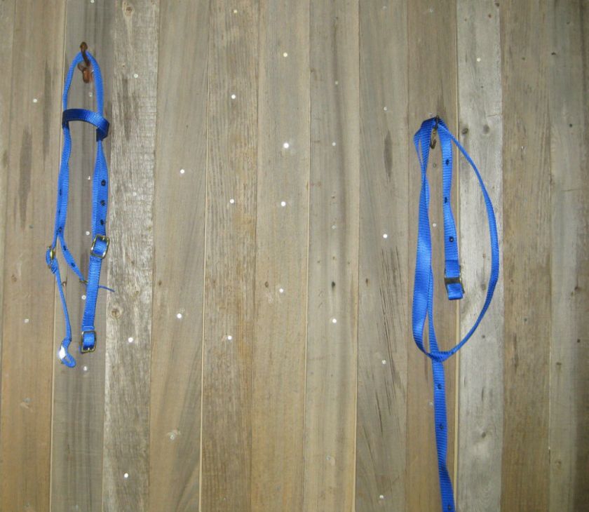 New Blue Nylon Headstall and Reins Set Horse Saddle Tack  