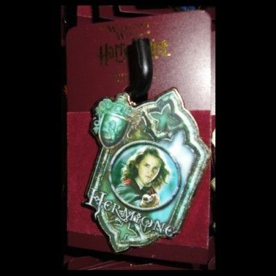 Wizarding World of Harry Potter Hermione Portrait Pin  