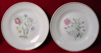 RICHARD GINORI china PRIMAVERA pttrn SALAD PLATE  