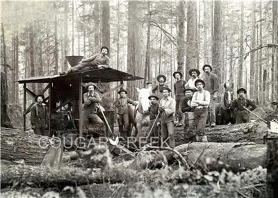   crew with horses tools with some very young loggers on the crew photo